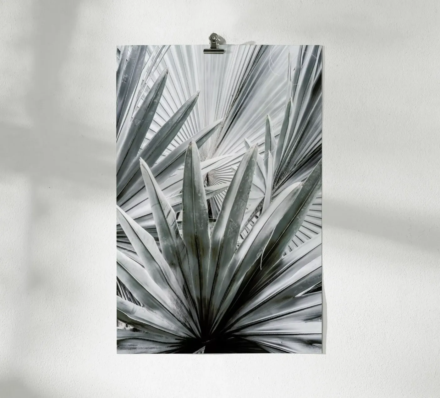 Silver Spray poster by Shot By Clint