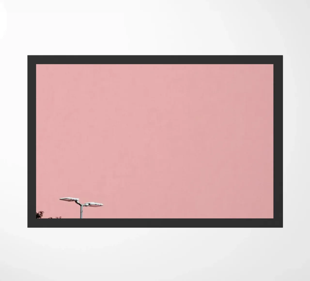 Hiding zerbino da Rupert Höller