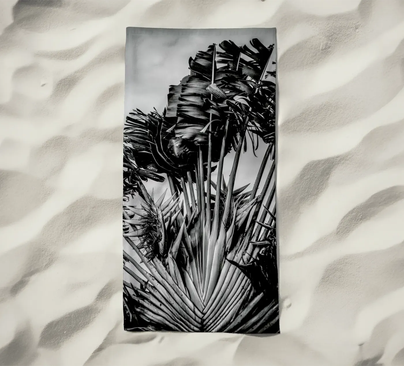 Tropical Dancer telo mare da Shot By Clint