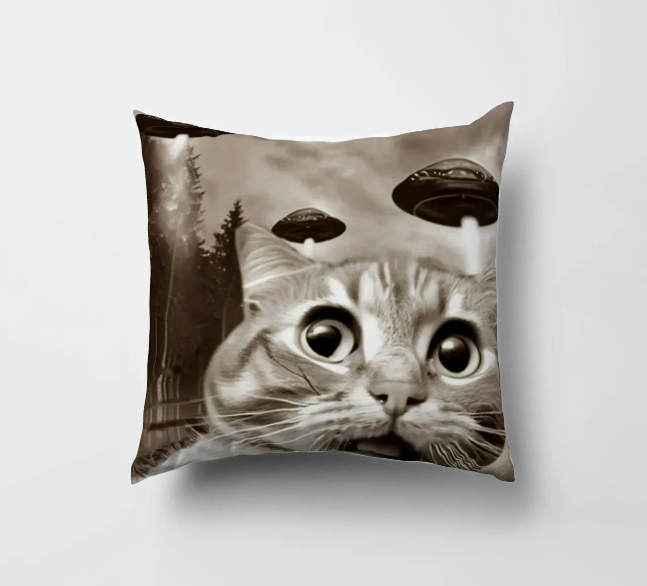 Divertente UFO Cat Selfie Alien & Cat Lover cuscino da rangginangs