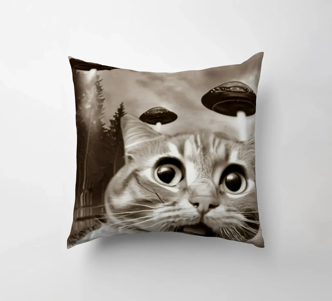 Divertente UFO Cat Selfie Alien & Cat Lover cuscino da rangginangs