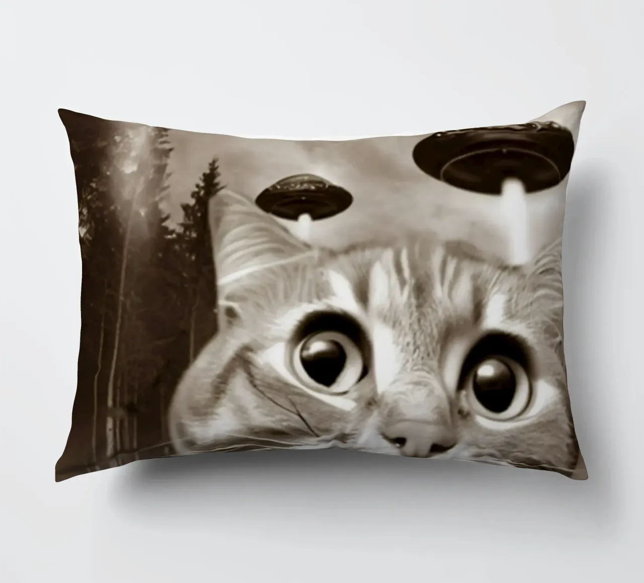 Divertente UFO Cat Selfie Alien & Cat Lover cuscino da rangginangs
