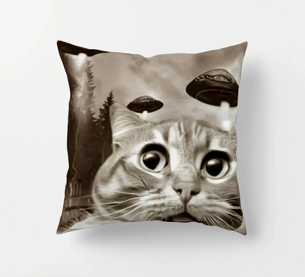Divertente UFO Cat Selfie Alien & Cat Lover cuscino da rangginangs