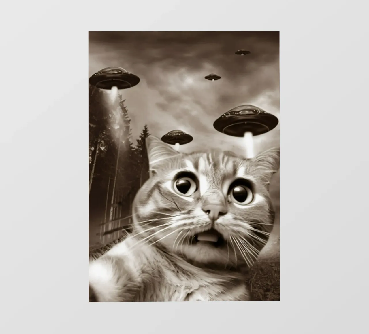 Divertente UFO Cat Selfie Alien & Cat Lover pellicola backlit da rangginangs