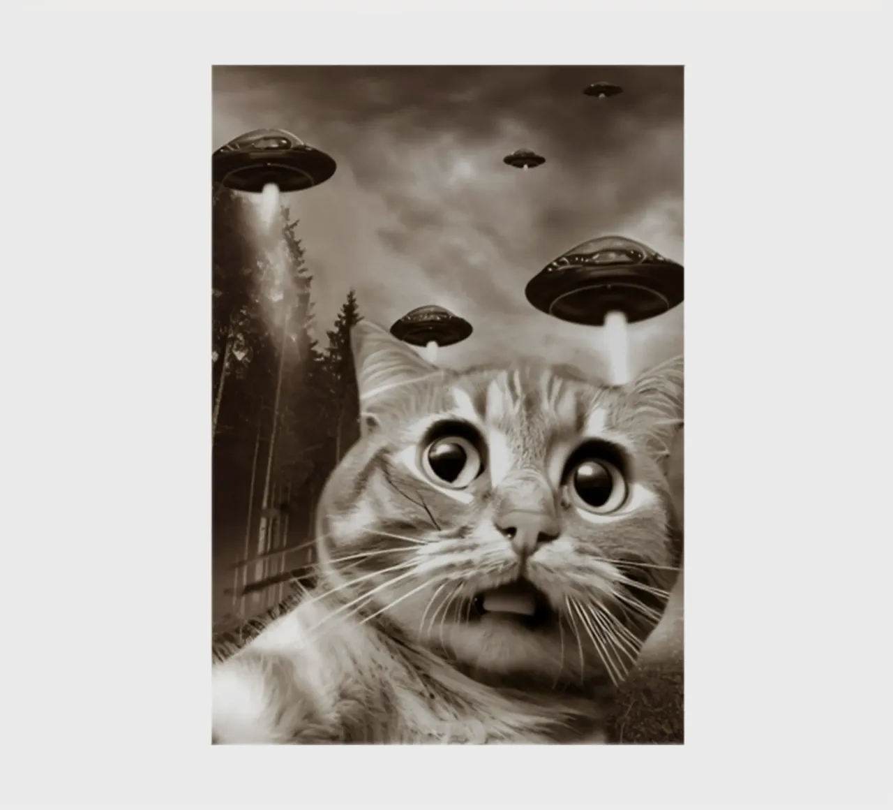 Divertente UFO Cat Selfie Alien & Cat Lover diario da rangginangs