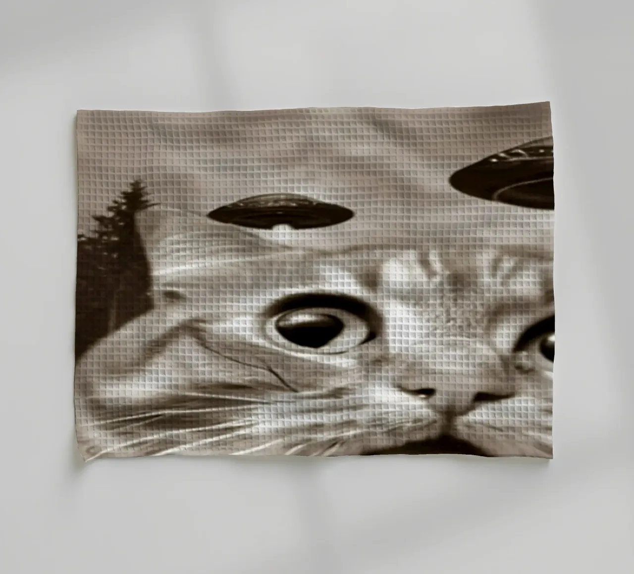 Divertente UFO Cat Selfie Alien & Cat Lover canovaccio da cucina da rangginangs