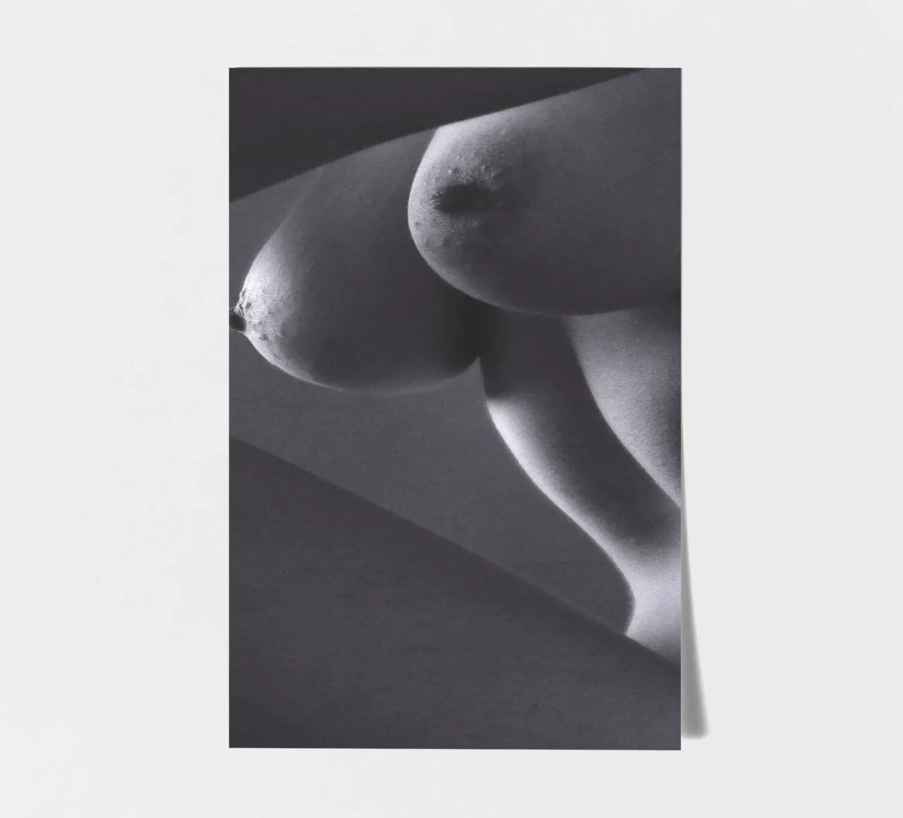 Georgie, ein Torso-Schuss Stickerbogen von Dave Hare Photography