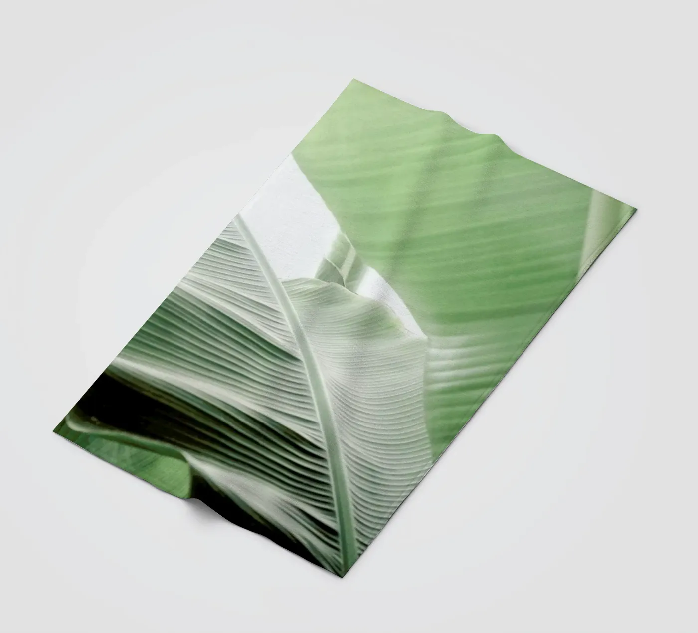 Babylon coperta in pile da Shot By Clint