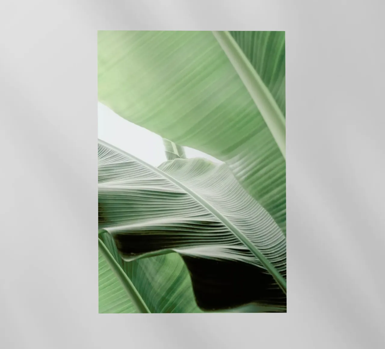 Babylon pellicola backlit da Shot By Clint