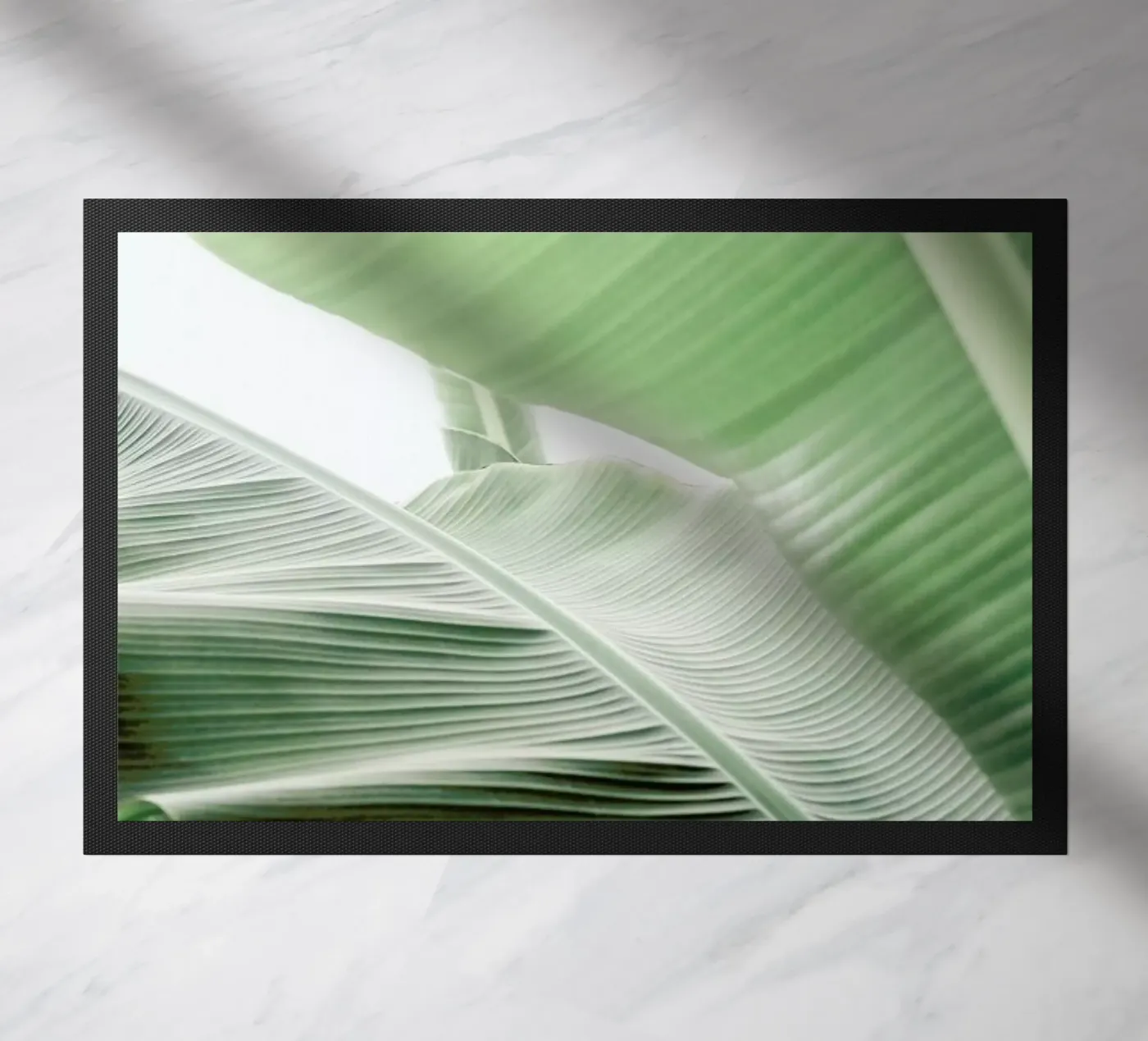 Babylon zerbino da Shot By Clint