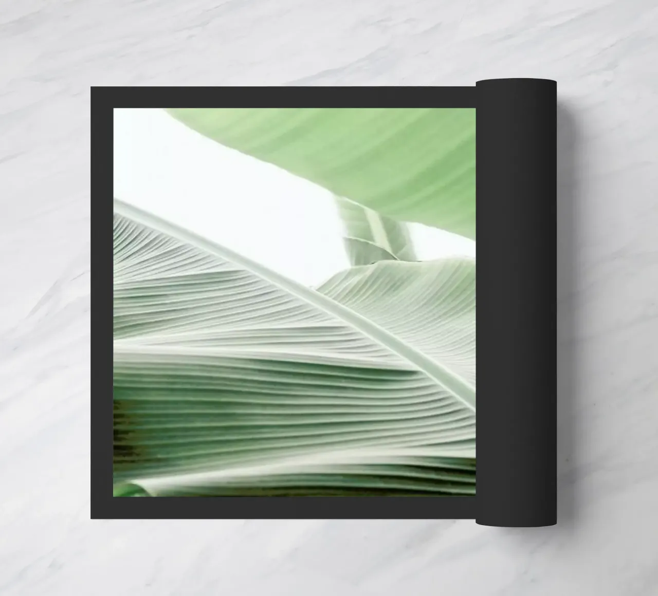 Babylon zerbino da Shot By Clint