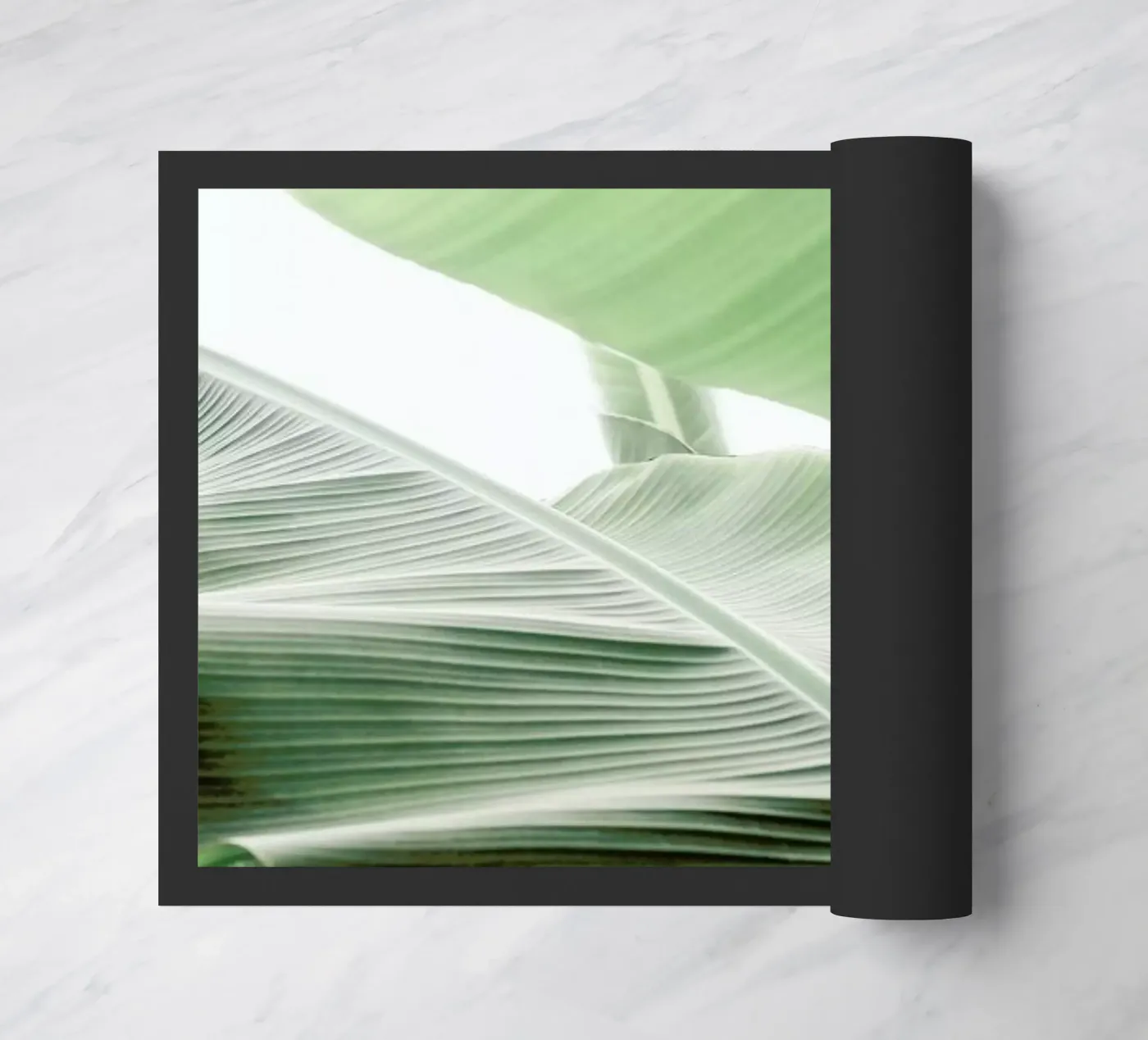 Babylon zerbino da Shot By Clint