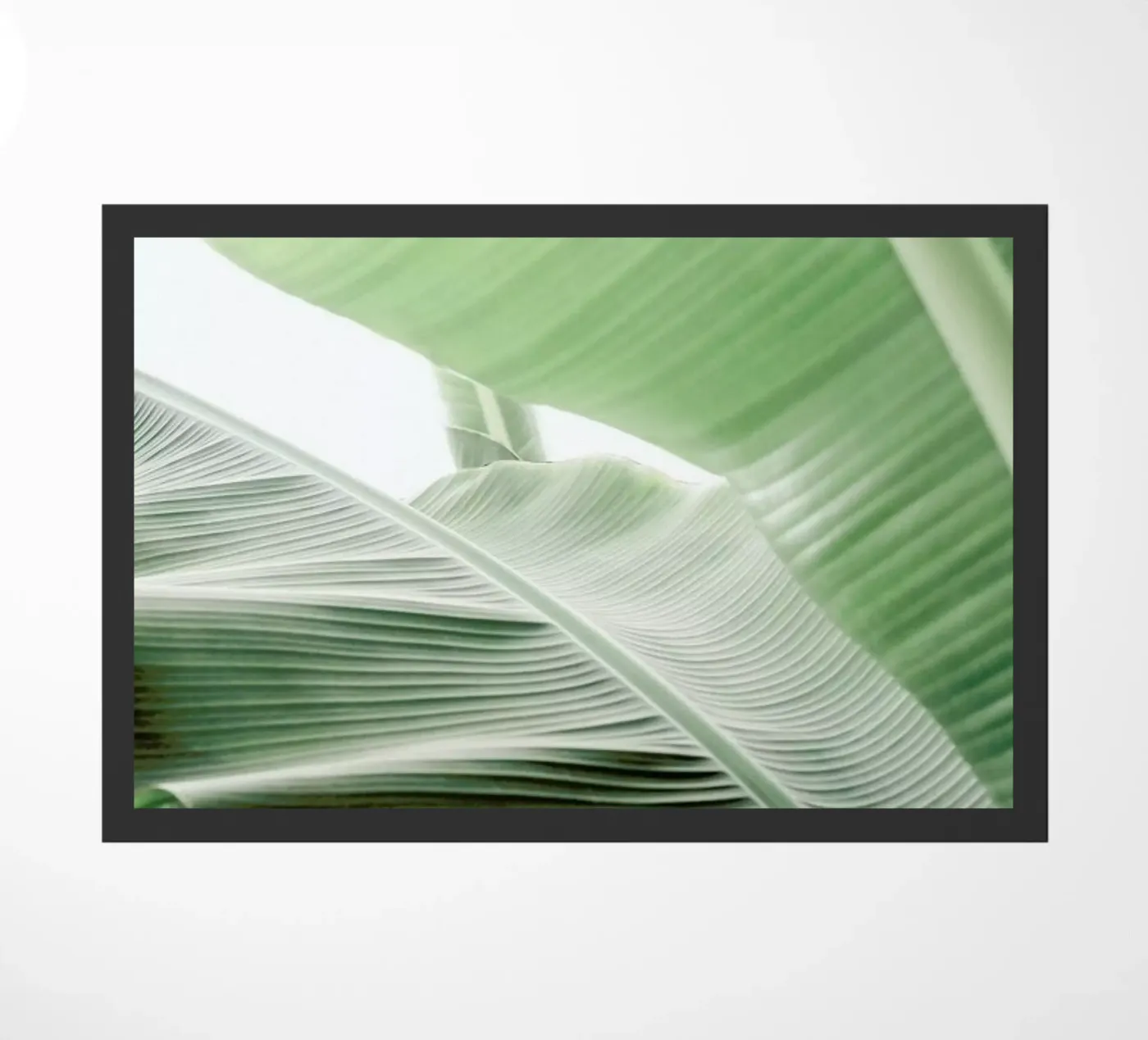 Babylon zerbino da Shot By Clint