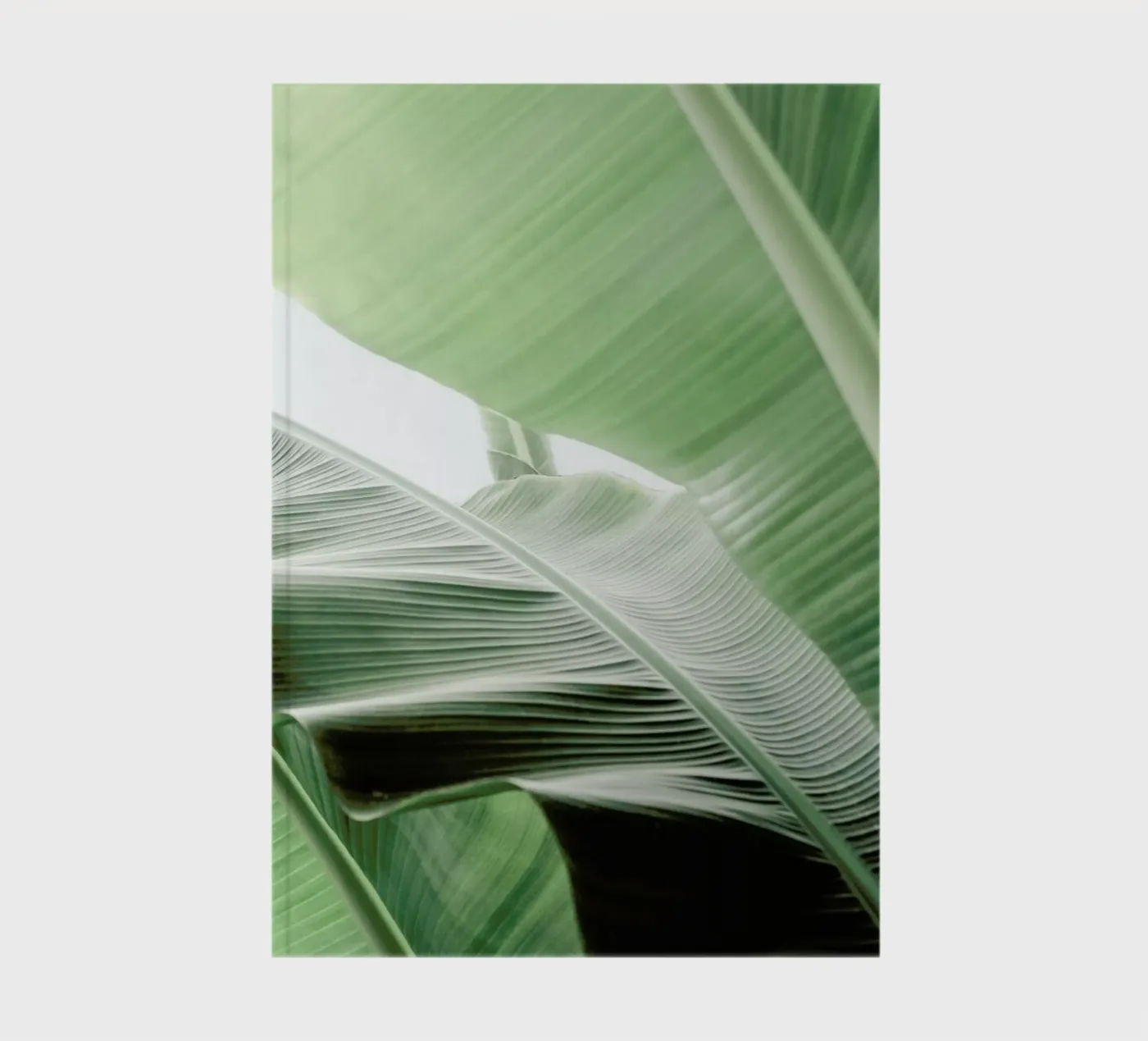 Babylon notebook by Shot By Clint