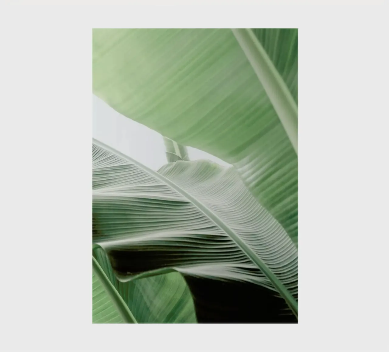 Babylon notebook by Shot By Clint