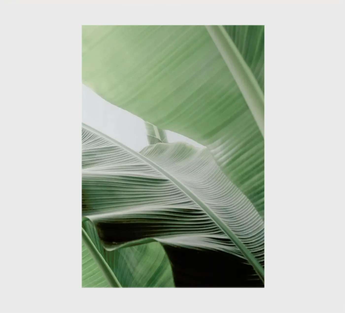 Babylon notebook by Shot By Clint