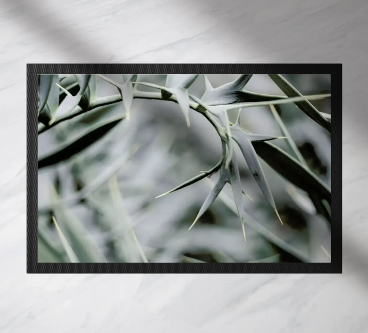 Wabi zerbino da Shot By Clint