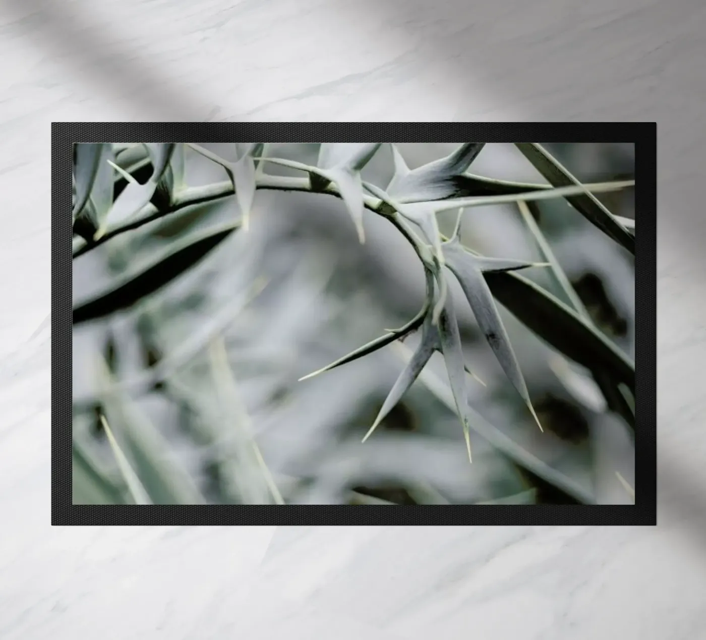 Wabi zerbino da Shot By Clint