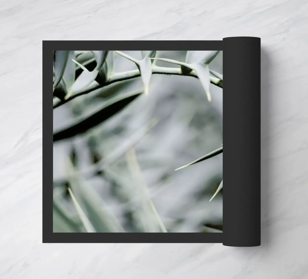 Wabi zerbino da Shot By Clint