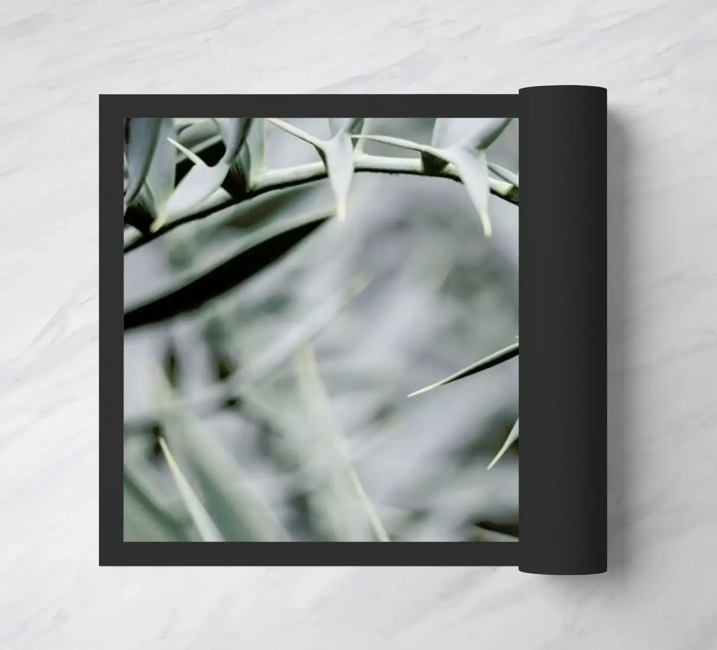 Wabi zerbino da Shot By Clint