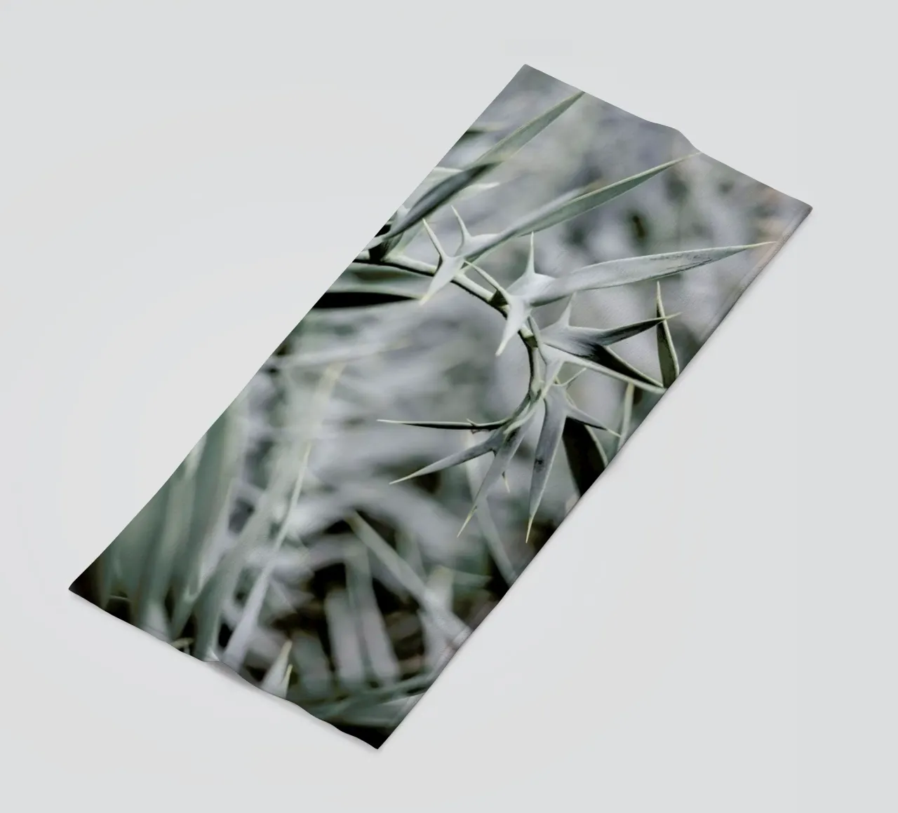 Wabi telo mare da Shot By Clint