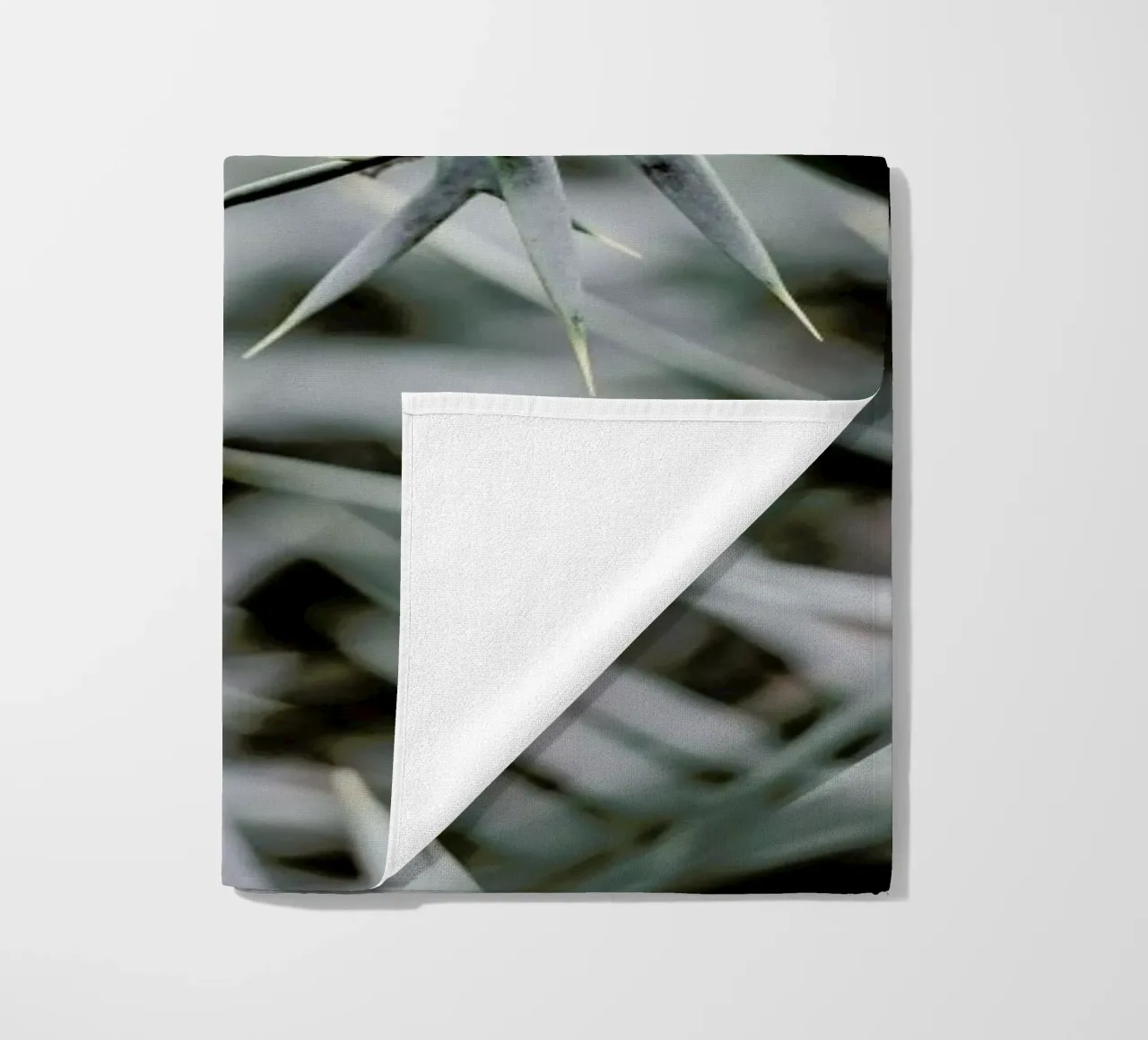 Wabi telo mare da Shot By Clint