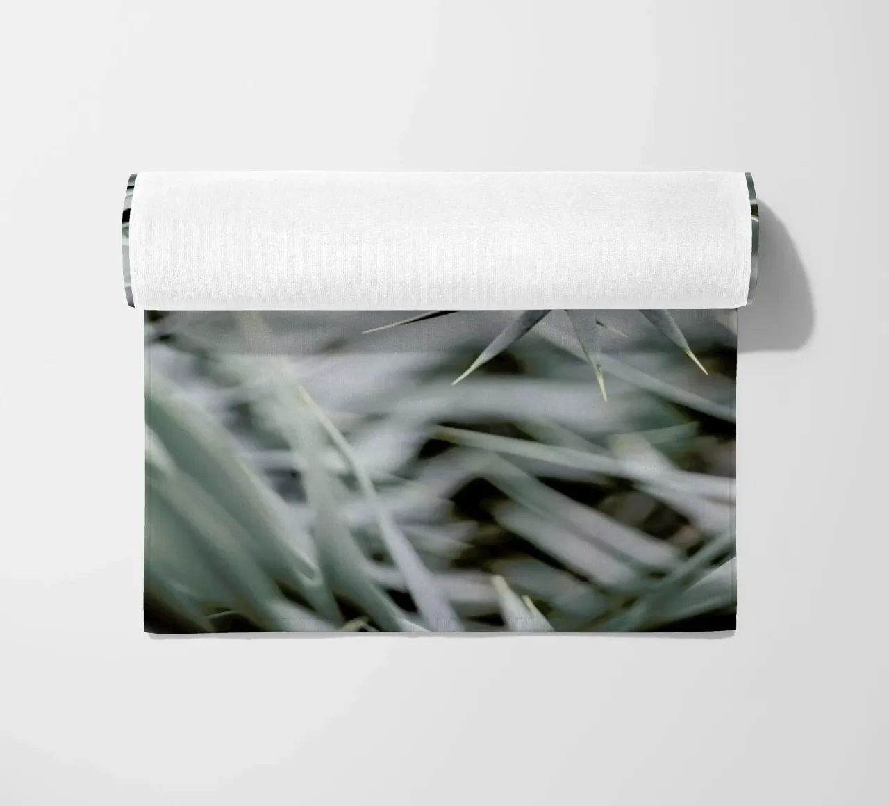 Wabi telo mare da Shot By Clint