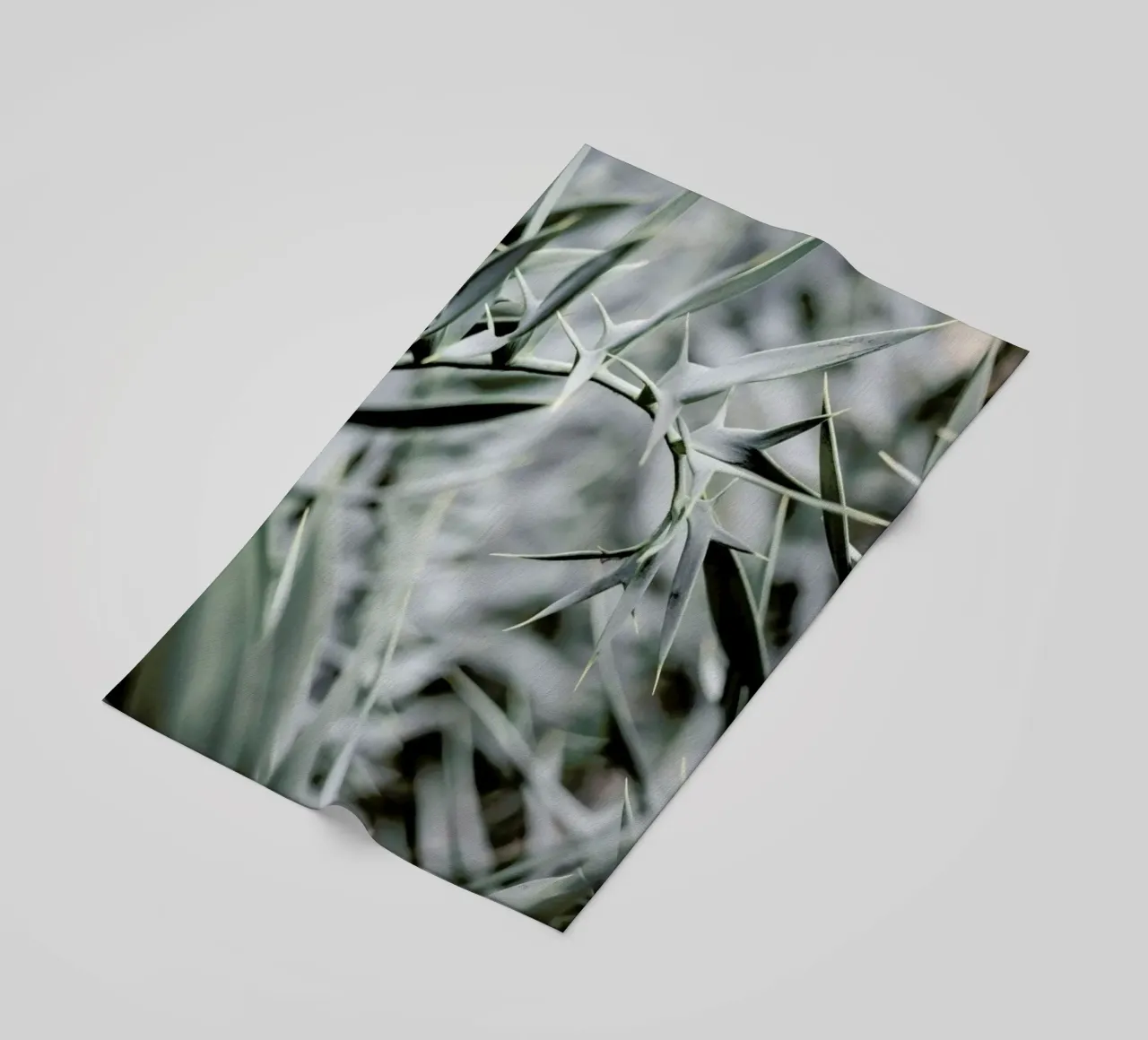 Wabi telo mare da Shot By Clint