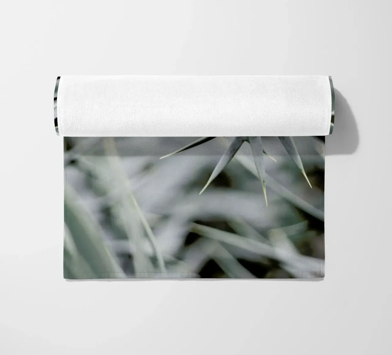 Wabi telo mare da Shot By Clint