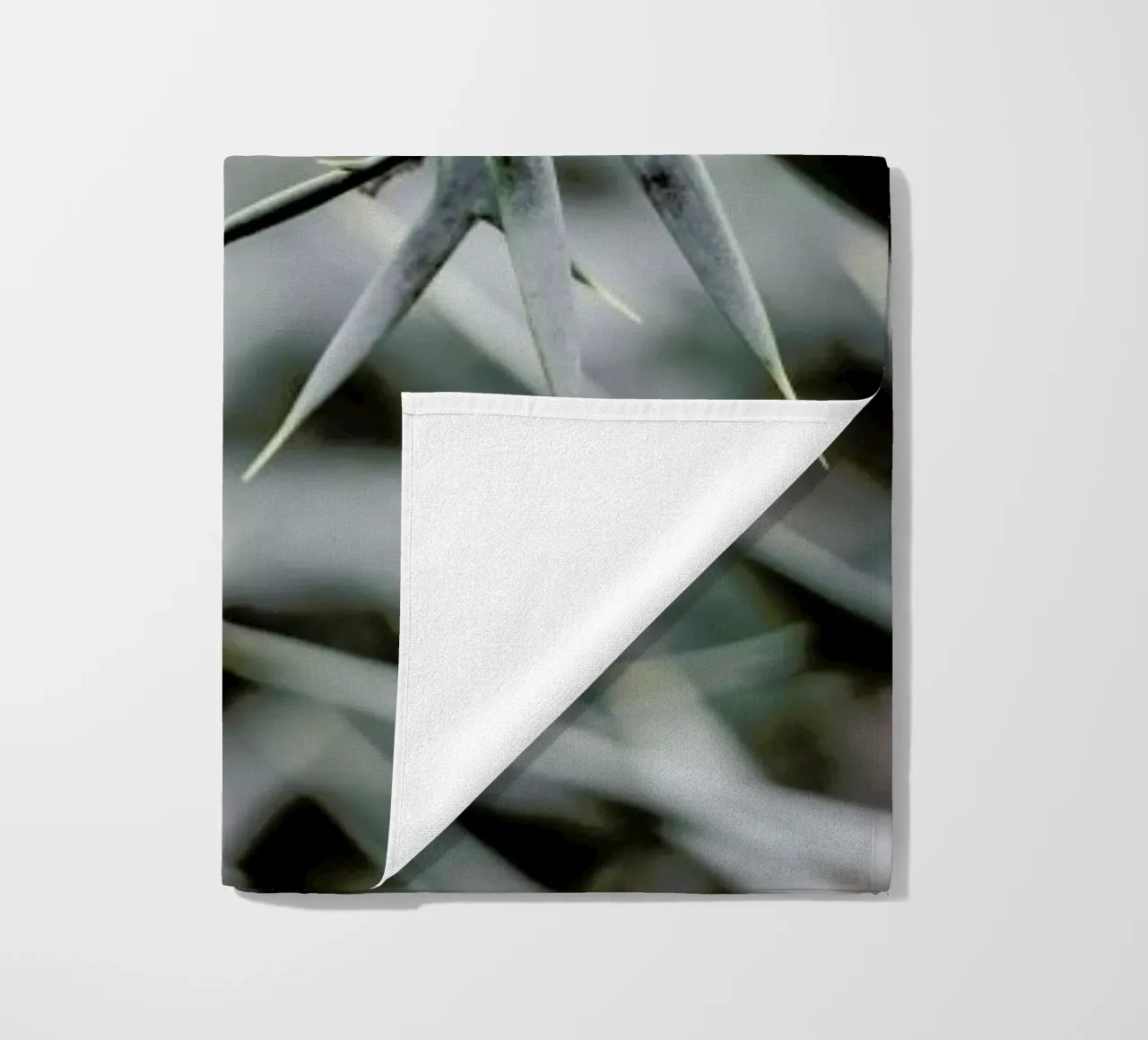 Wabi telo mare da Shot By Clint