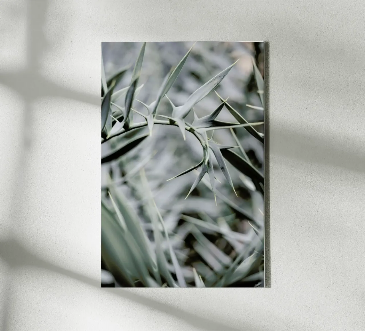 Wabi canvas by Shot By Clint
