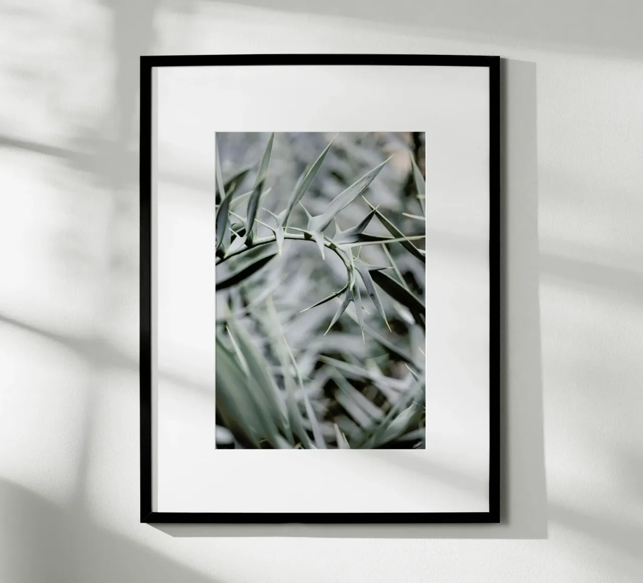 Wabi poster da Shot By Clint