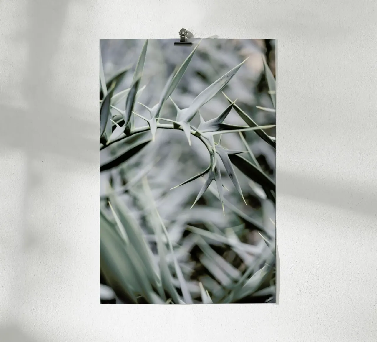 Wabi poster da Shot By Clint