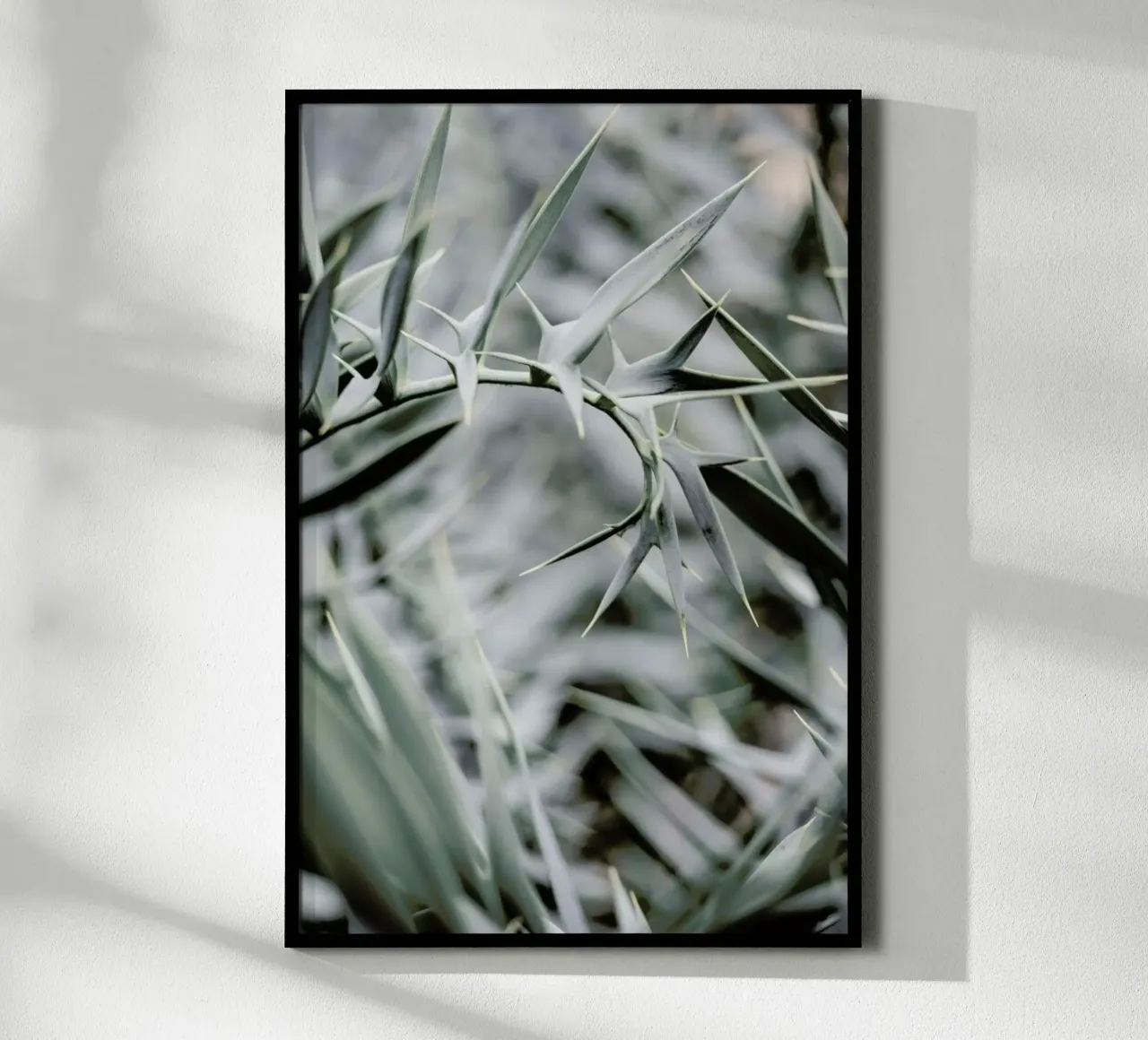 Wabi poster da Shot By Clint