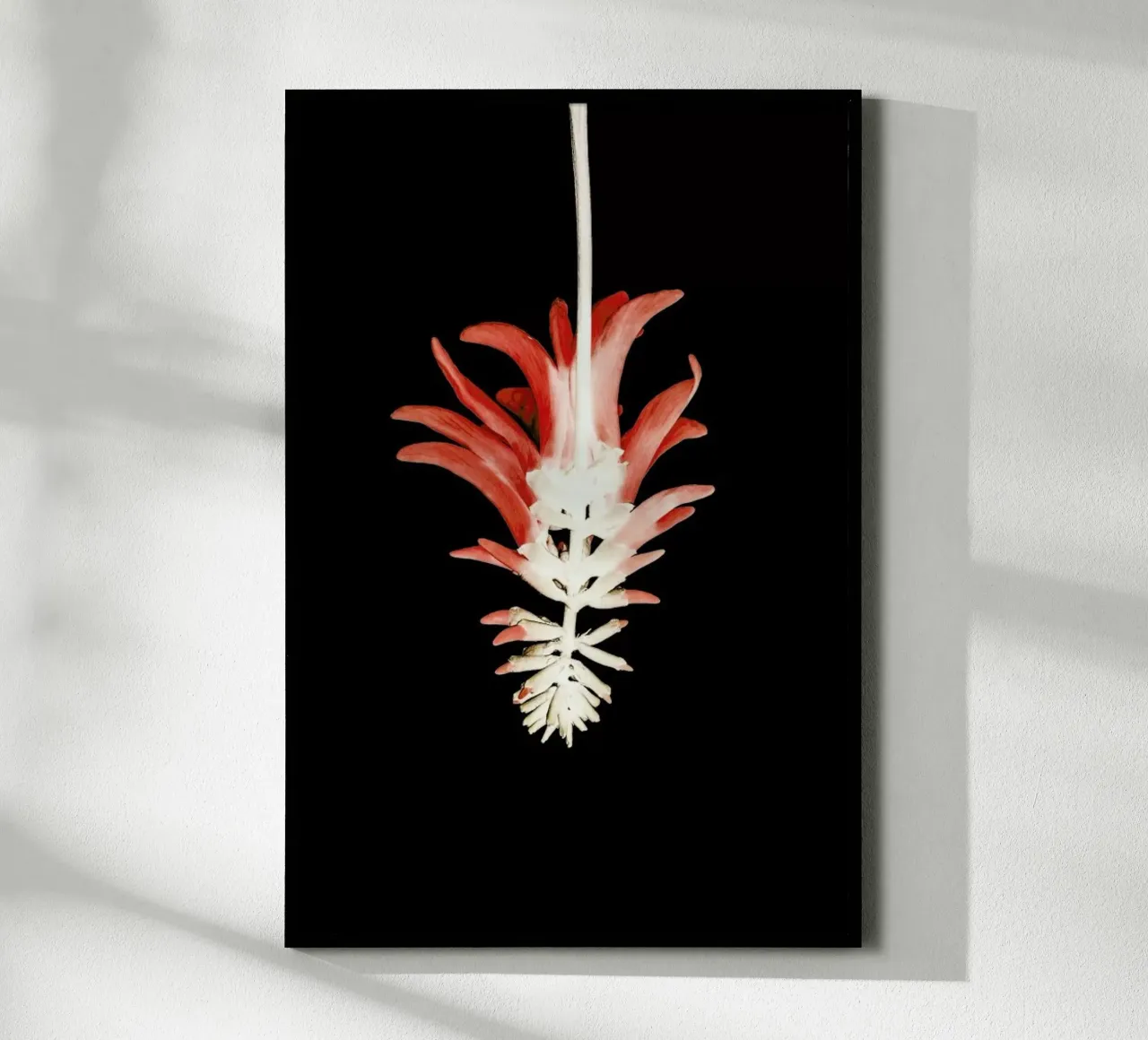 Coral Tree Flower carta hahnemühle da Shot By Clint