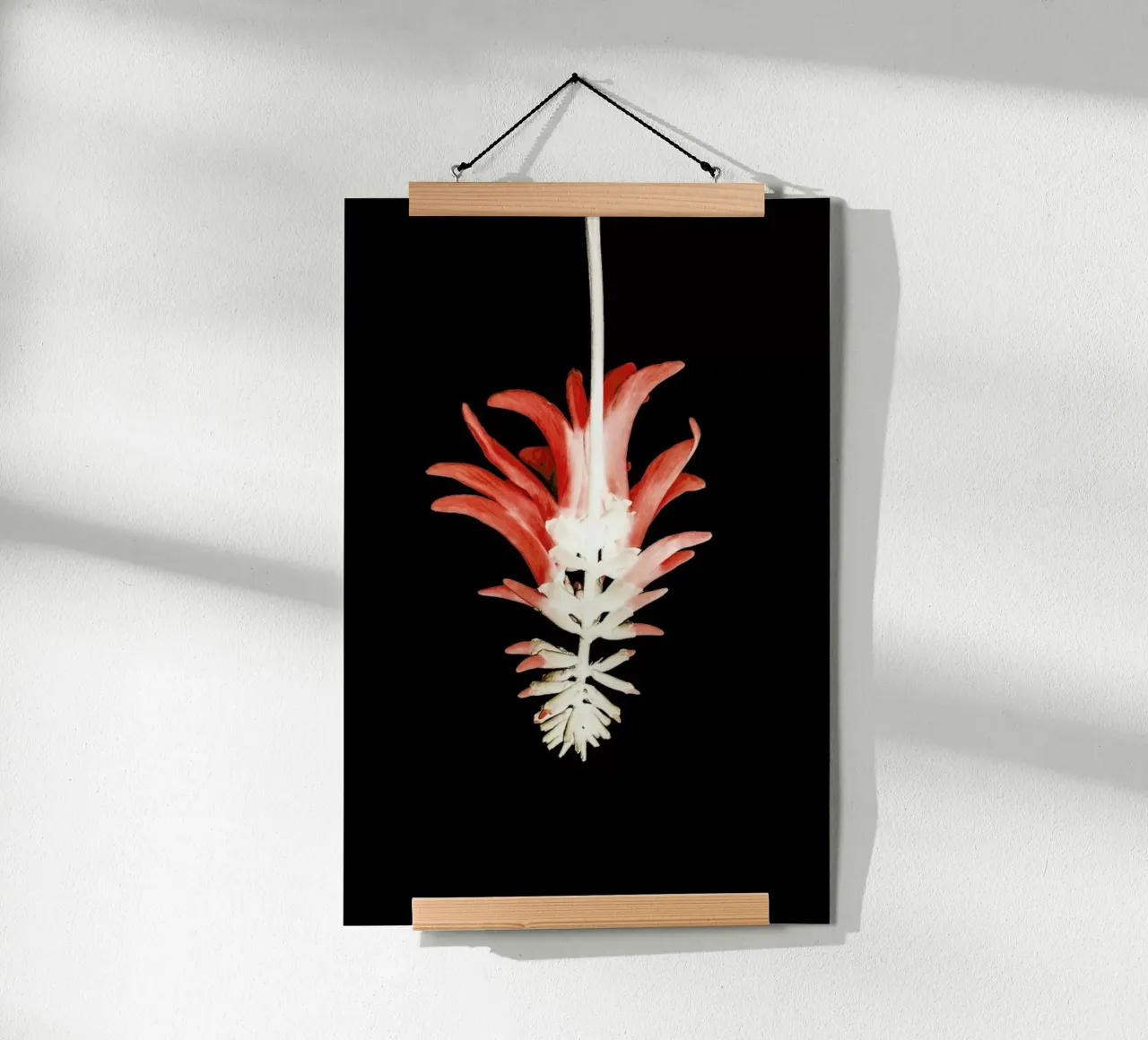 Coral Tree Flower carta hahnemühle da Shot By Clint