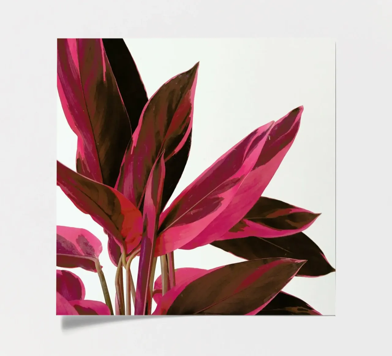 Red Leaves II sticker sheet by Cassia Beck Photography