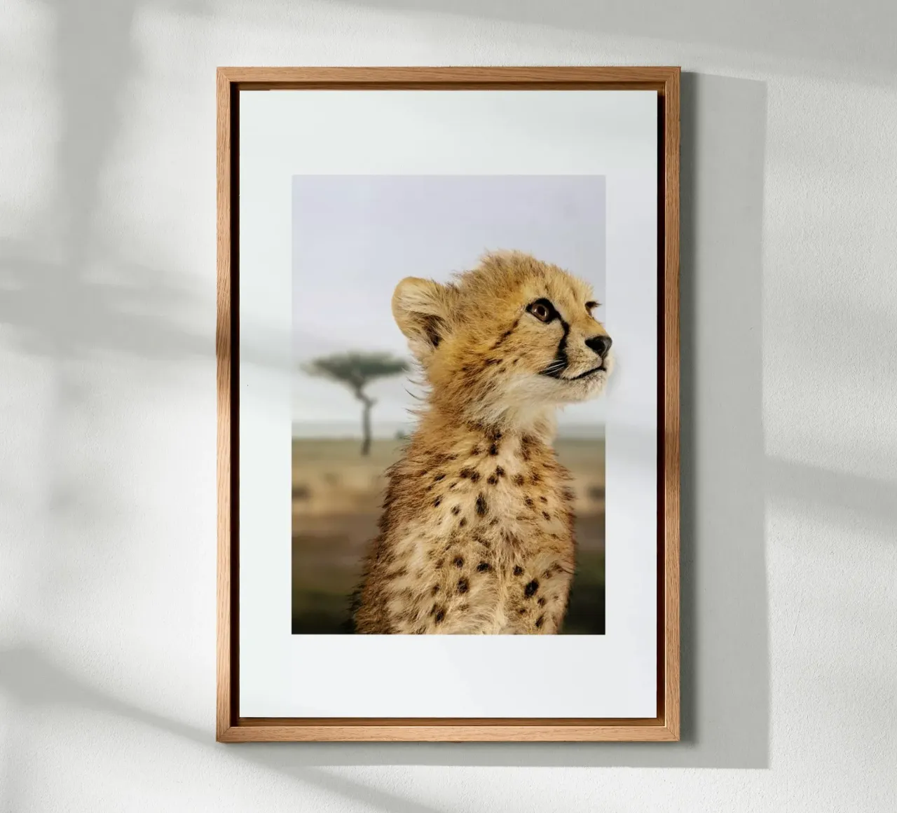 CHEETAH CUB tela con Cornice a cassetta da JONAS LOOSE KIDS