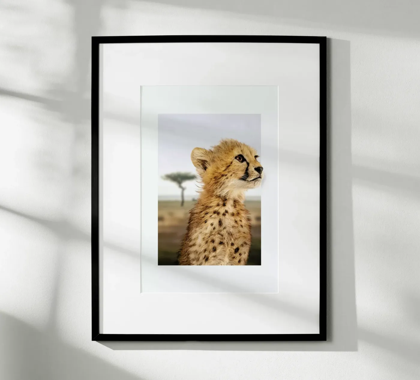 CHEETAH CUB poster da JONAS LOOSE KIDS
