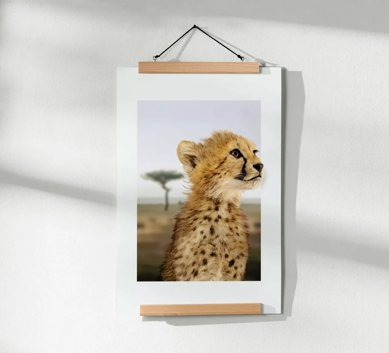 CHEETAH CUB poster da JONAS LOOSE KIDS
