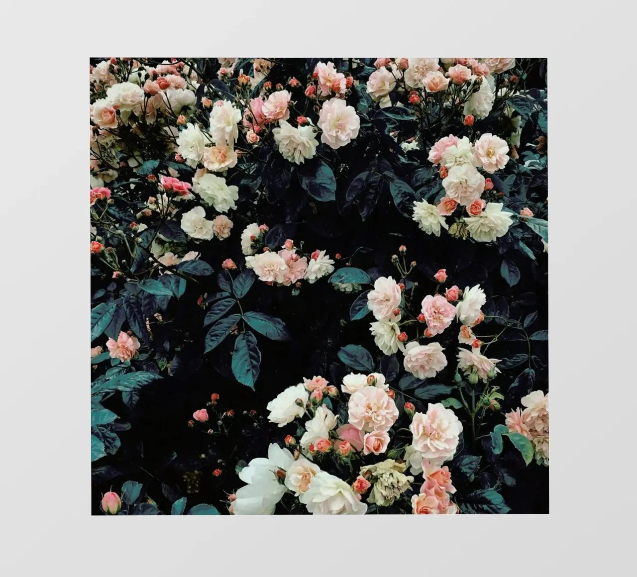 Giardino segreto telo in pvc da Cassia Beck Photography