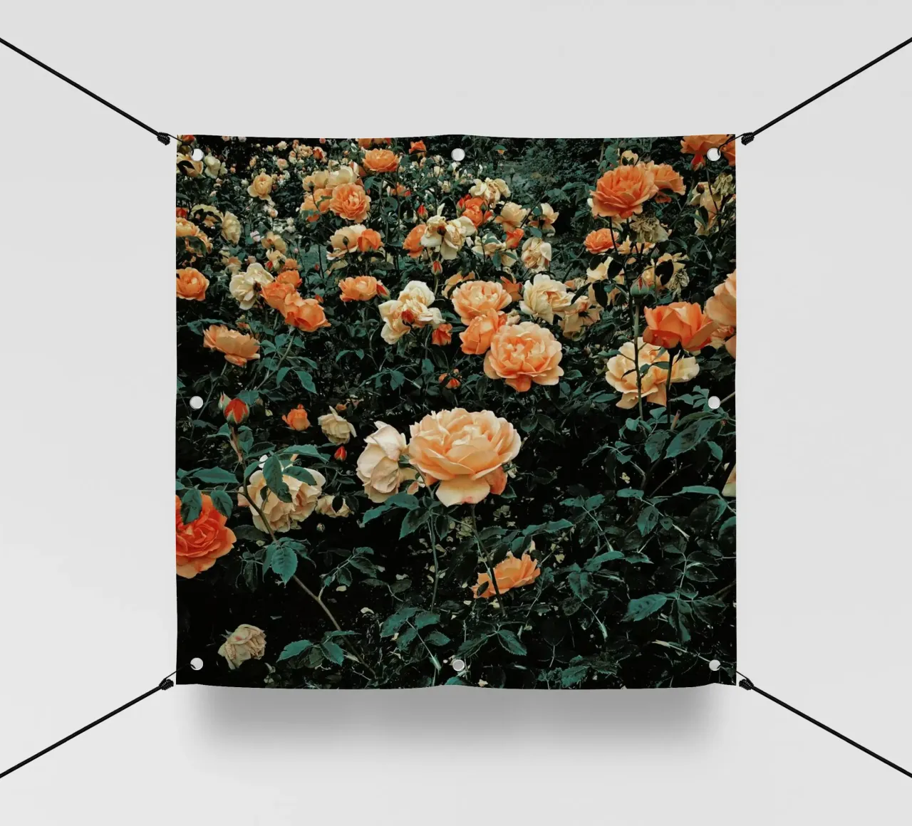 Foresta di rose telo in pvc da Cassia Beck Photography