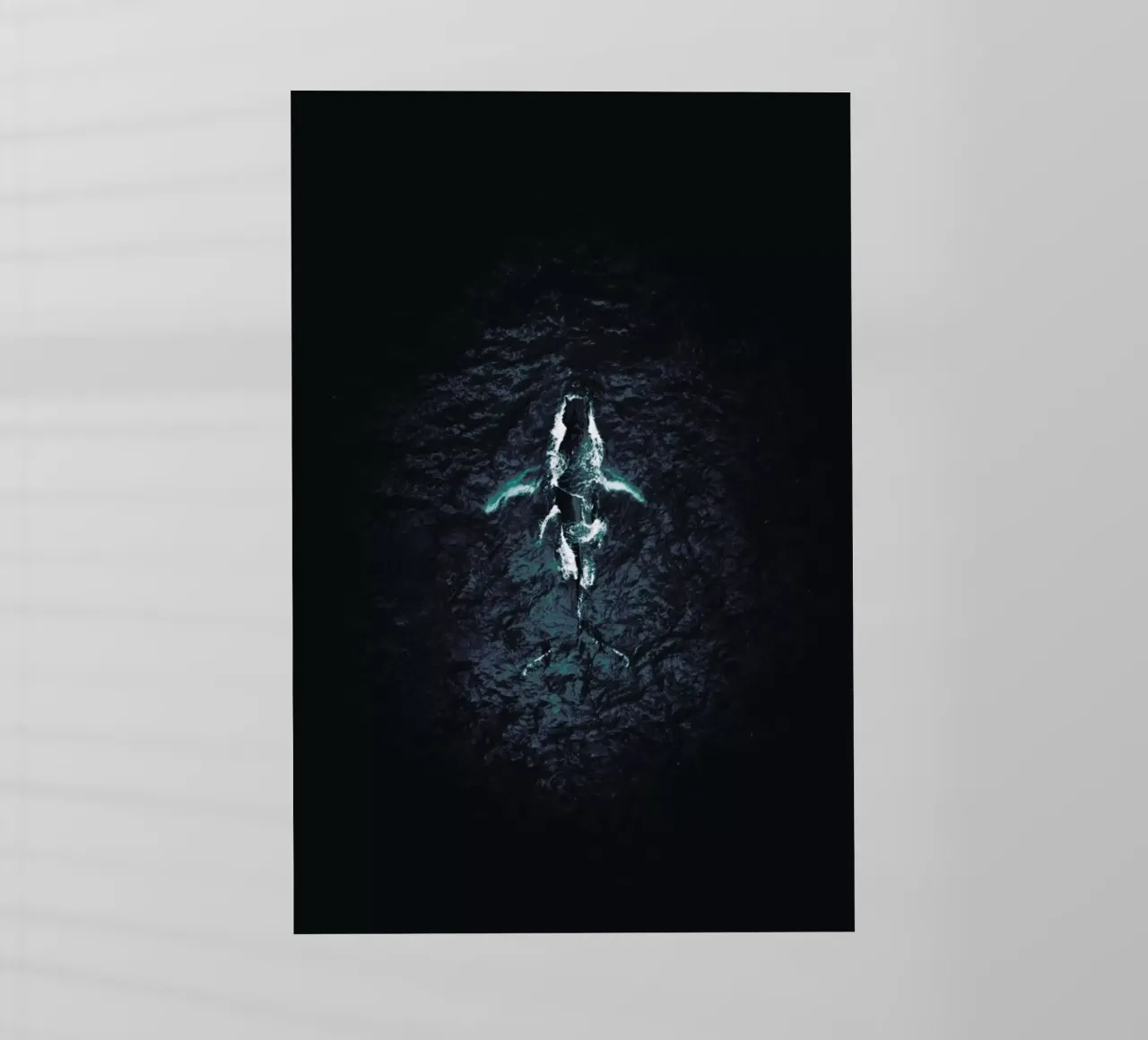 Humpback Breach pellicola backlit da Airpixels