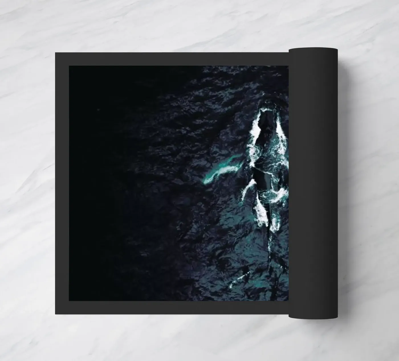 Humpback Breach zerbino da Airpixels