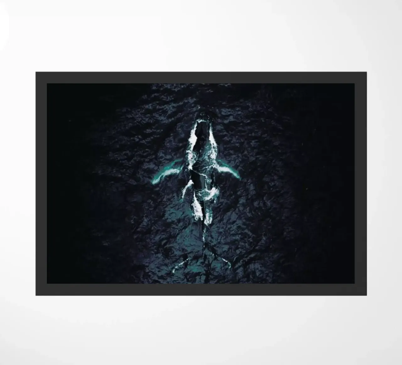 Humpback Breach zerbino da Airpixels