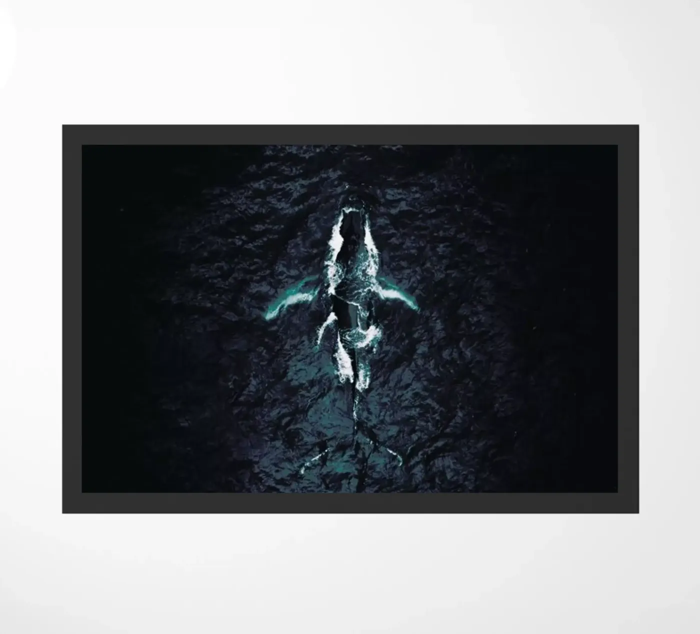 Humpback Breach zerbino da Airpixels