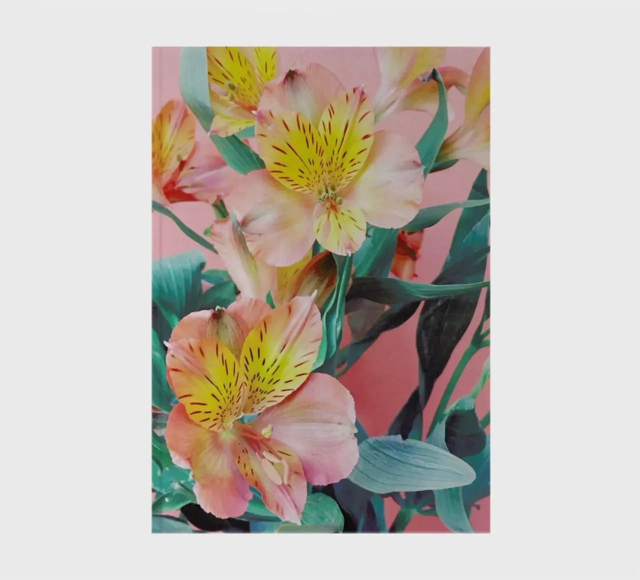 Spring Bouquet notebook by Cassia Beck Photography