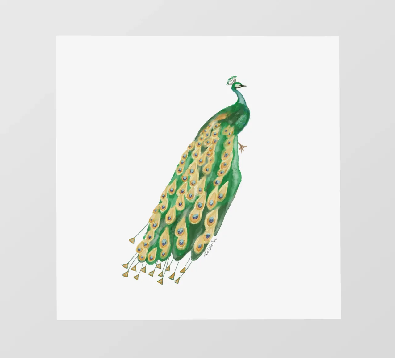 Pavone Illustrazione ad acquerello Arte minimalista Boho pellicola backlit da This Wild Soul - Illustration