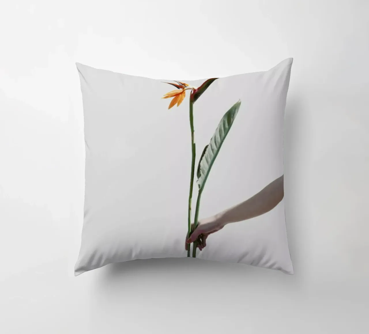 Paradise Bird cuscino da George Griefy