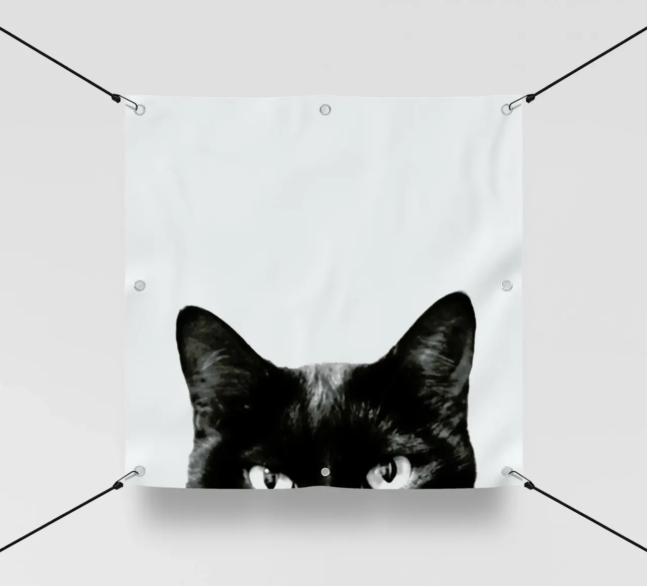 Black Cat pvc cover by Victoria Frost
